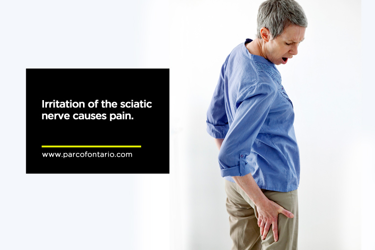 Irritation-of-the-sciatic-nerve-causes-pain