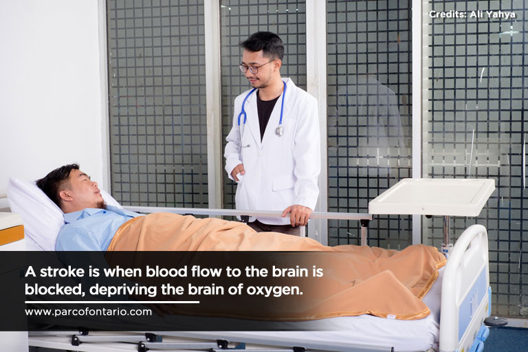 blood flow to the brain is blocked, depriving the brain of oxygen.