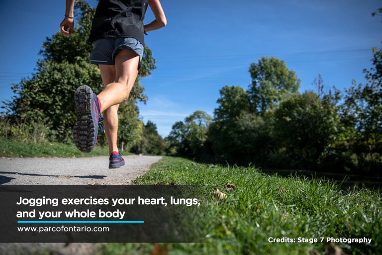 Jogging exercises your heart, lungs, body