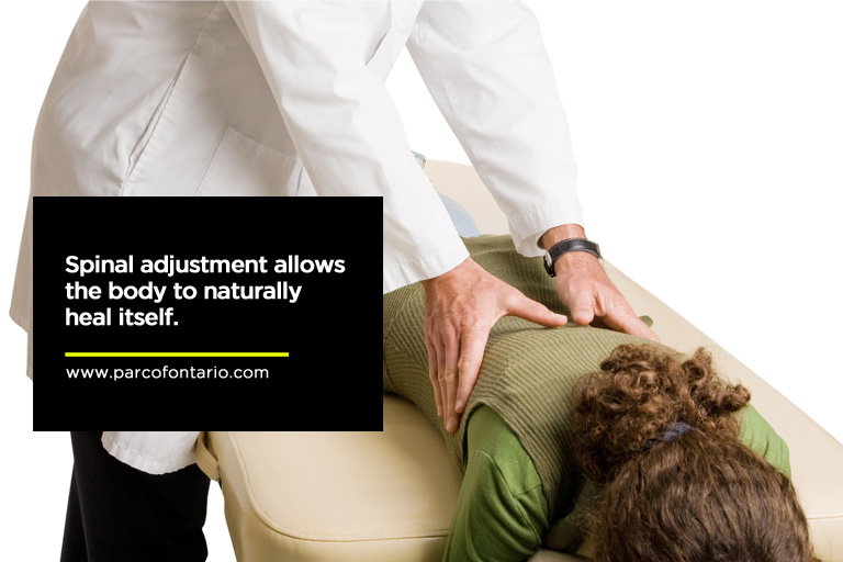 Spinal-adjustment-allows-the-body-to-naturally-heal-itself