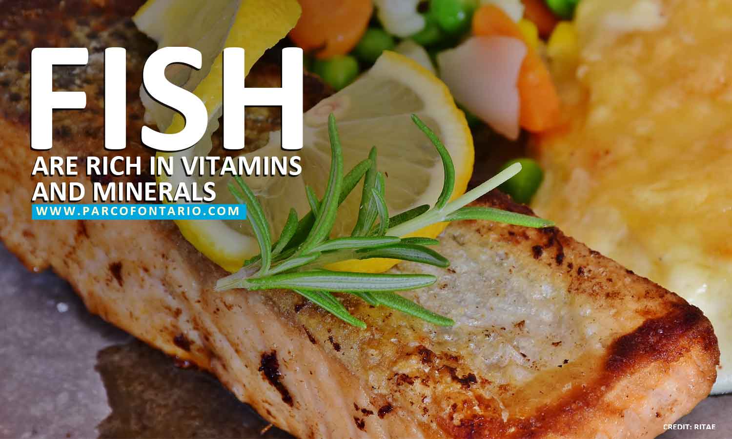 Fish are rich in vitamins and minerals