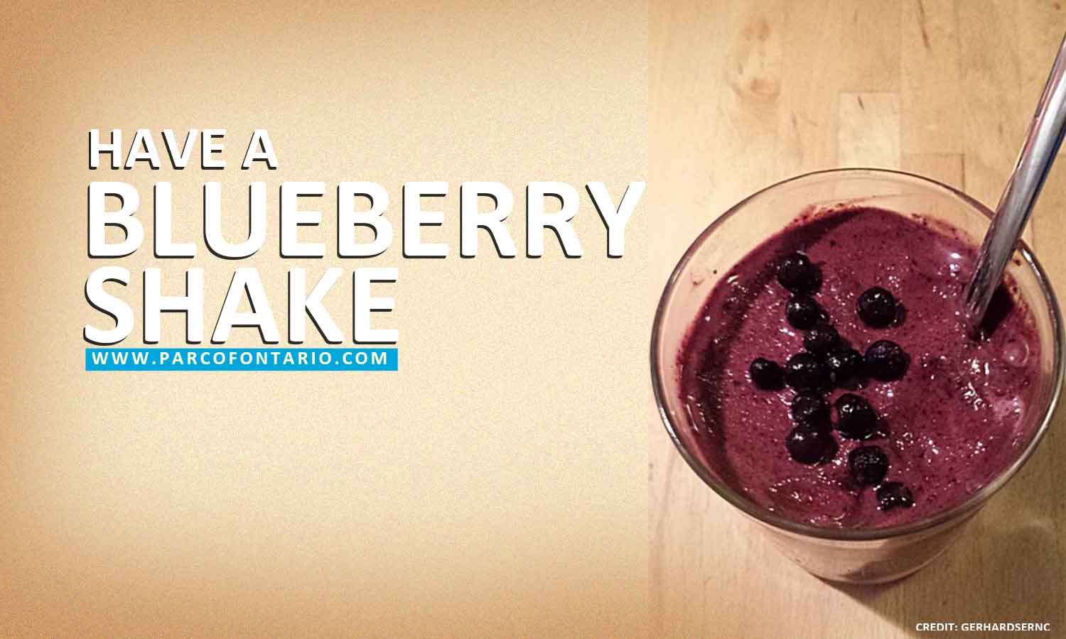 blueberry shake