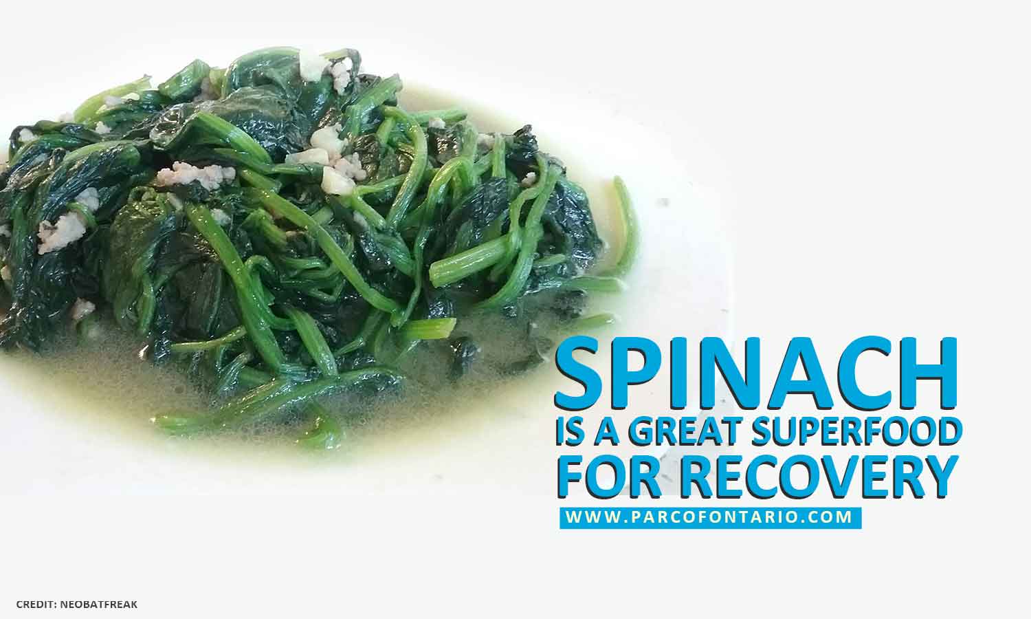 Spinach-is-a-great-superfood
