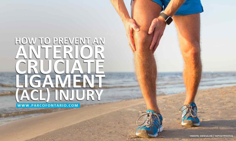 Prevent an Anterior Cruciate Ligament