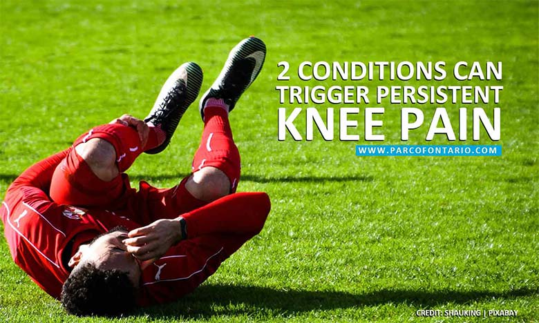 2-conditions-can-trigger-persistent-knee-pain