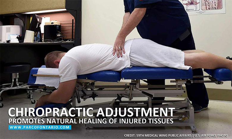 Chiropractic-adjustment-promotes-natural-healing-of-injured-tissues