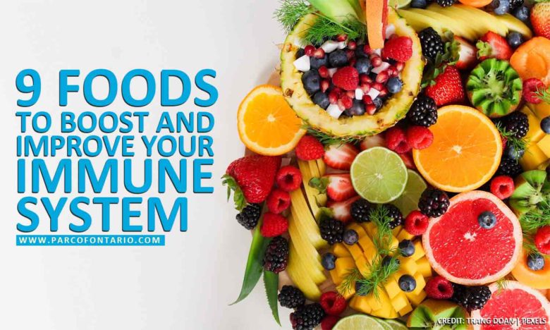 9 Foods to Boost and Improve Your Immune System