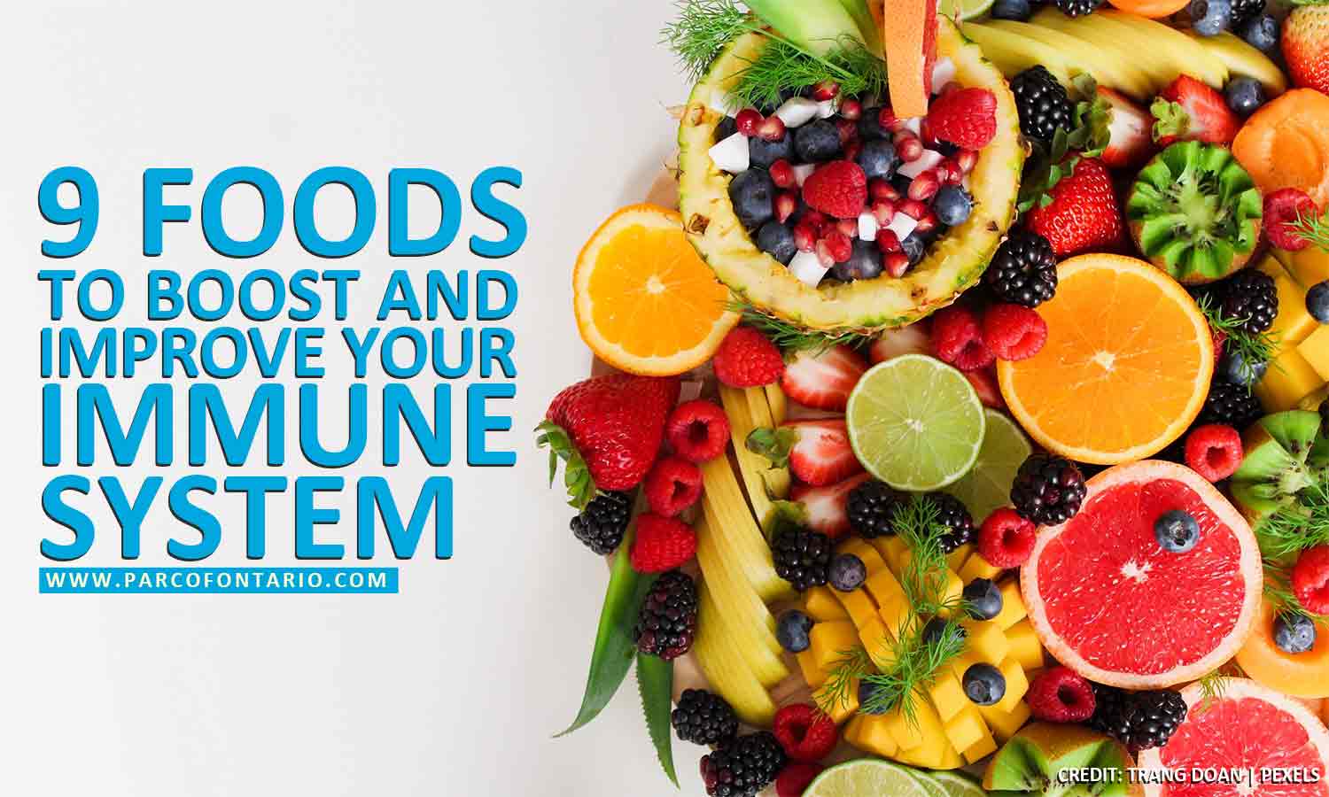 9 Foods To Boost And Improve Your Immune System The Physiotherapy And 