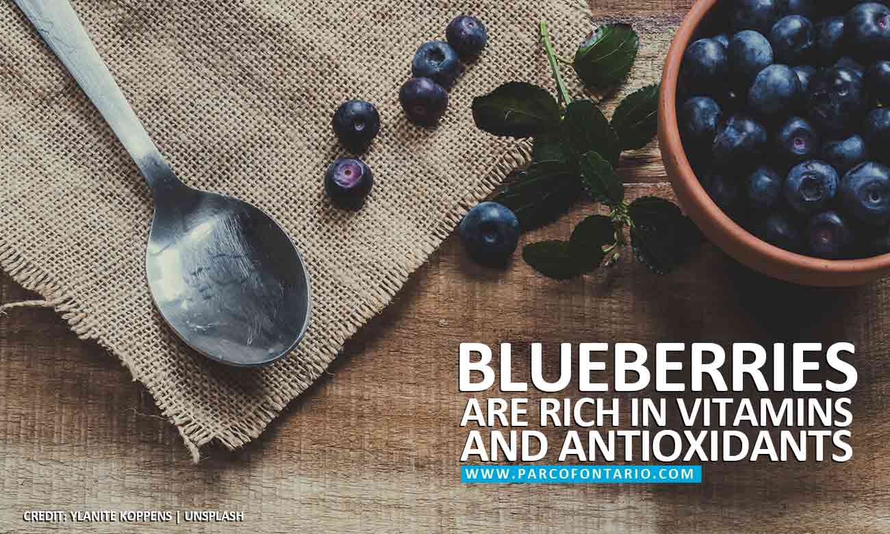Blueberries are rich in vitamins and antioxidants