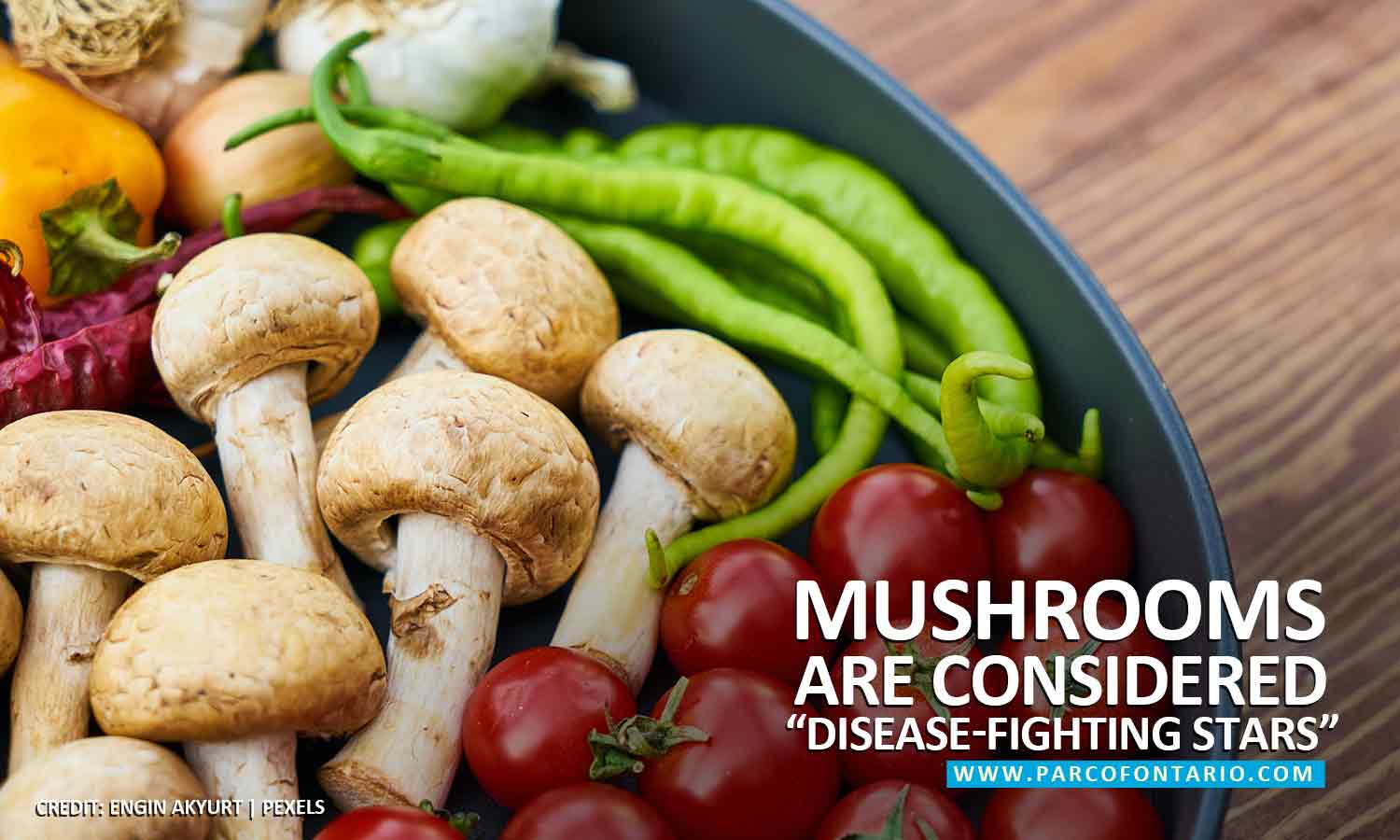 Mushrooms are considered disease-fighting stars