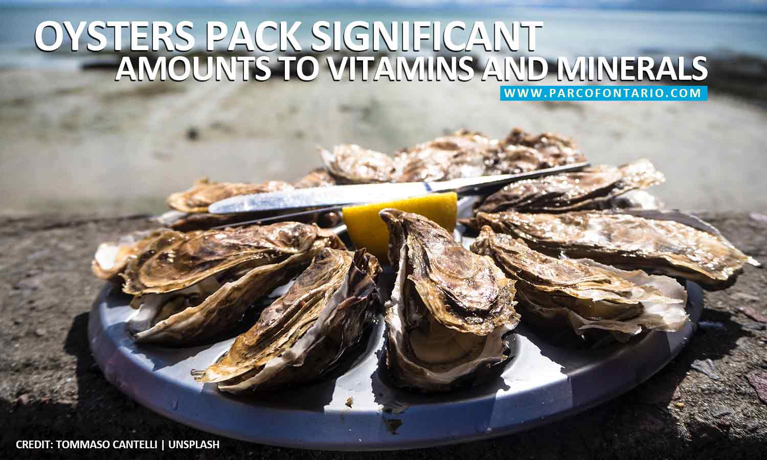 Oysters pack significant amounts to vitamins and minerals