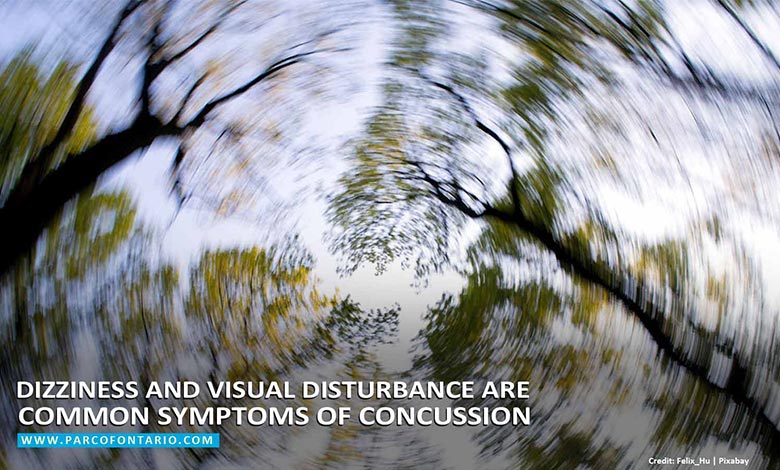 Dizziness and visual disturbance