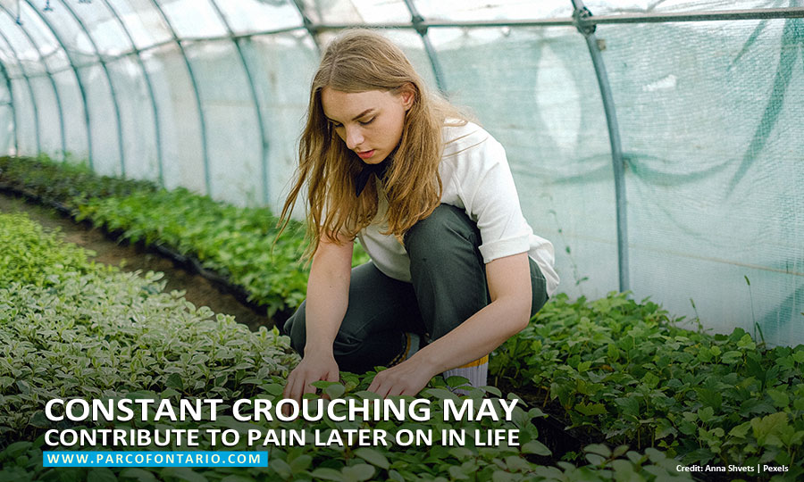 Constant crouching may contribute to pain later on in life