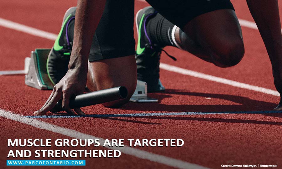 Muscle-groups-are-targeted-and-strengthened