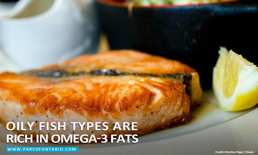 Oily fish types are rich in Omega-3 fats