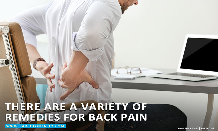 There are a variety of remedies for back pain