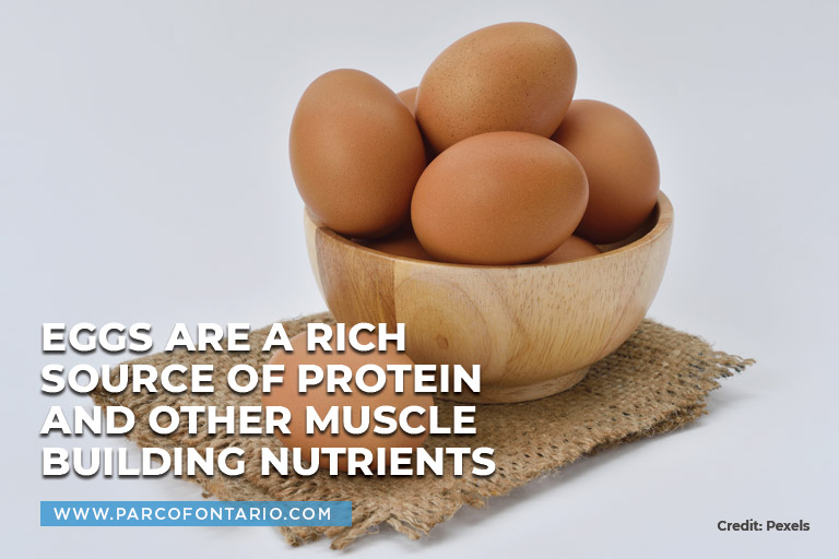 Eggs are a rich source of protein and other muscle-building nutrients