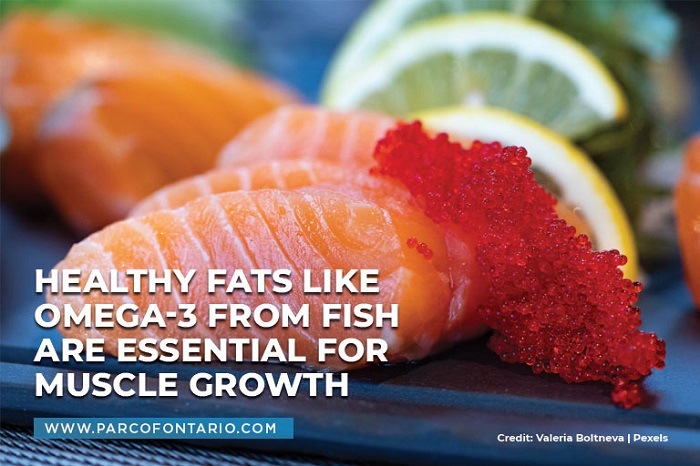 Healthy fats like Omega-3 from fish are essential for muscle growth