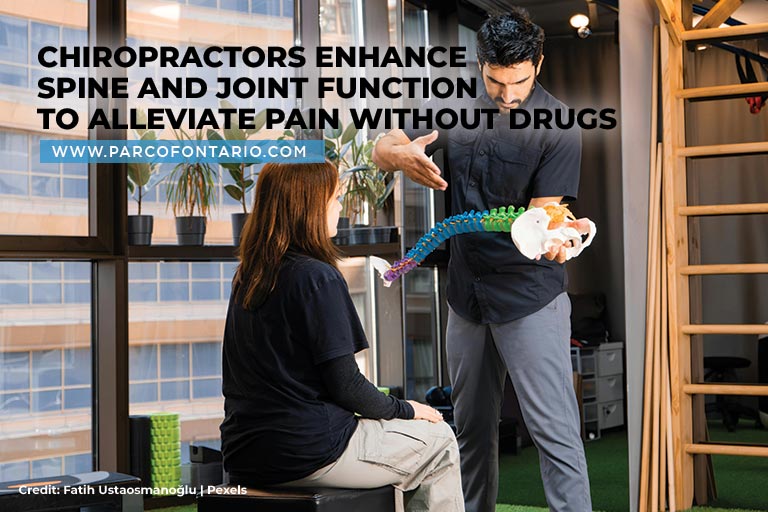 Chiropractors enhance spine and joint function to alleviate pain without drugs