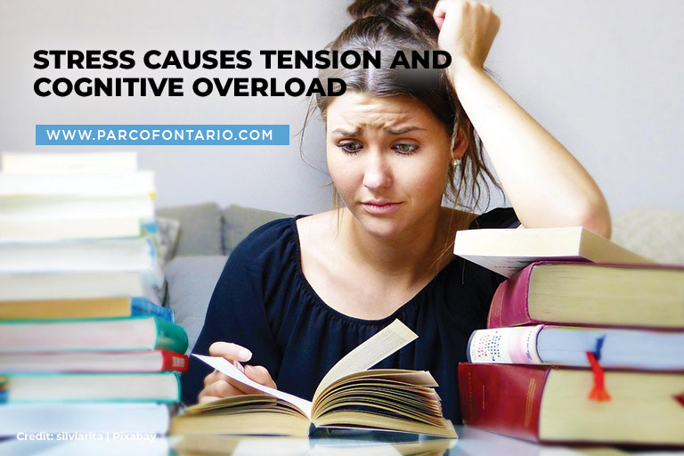 Stress causes tension and cognitive overload