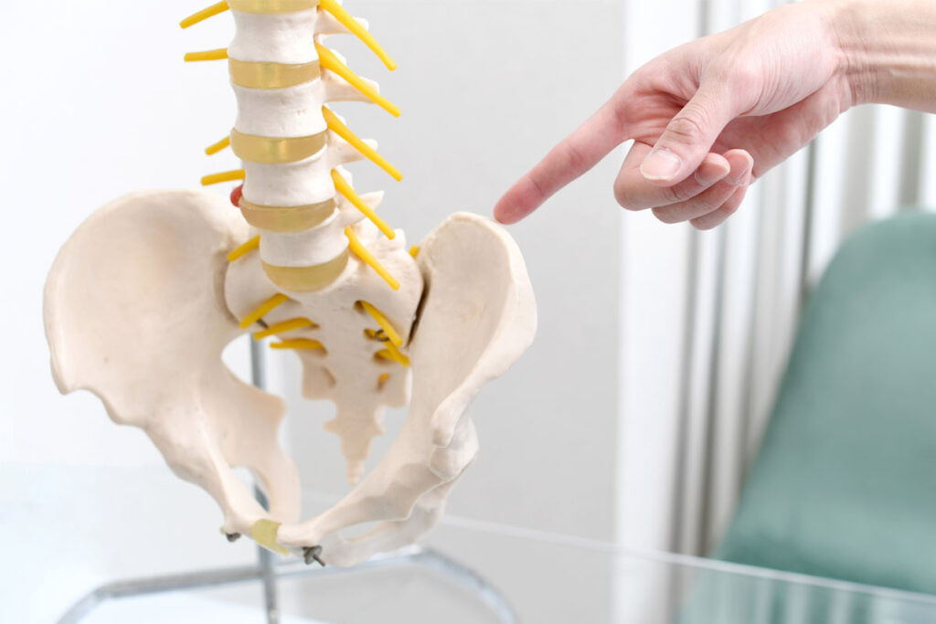 The-Role-of-Physical-Therapy-in-Postpartum-Pelvic-Health