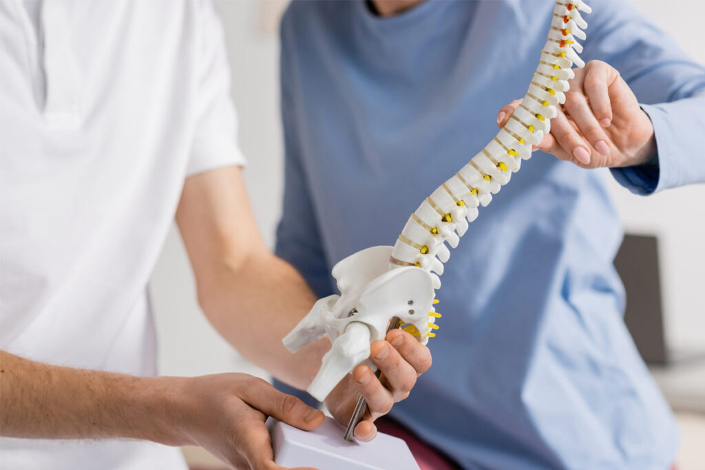 The-Spine’s-Role-in-Total-Joint-Function